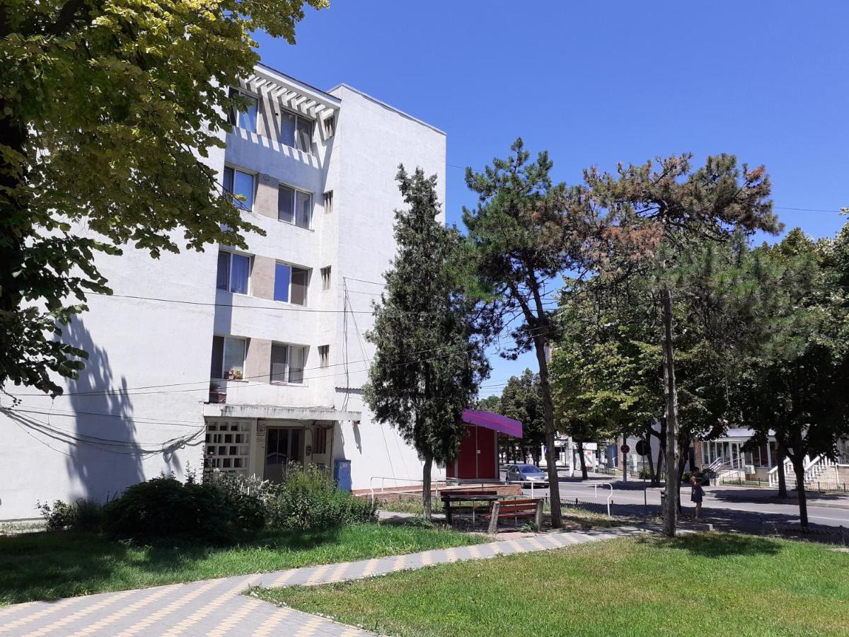 Apartament Gabriela 曼加利亚 外观 照片